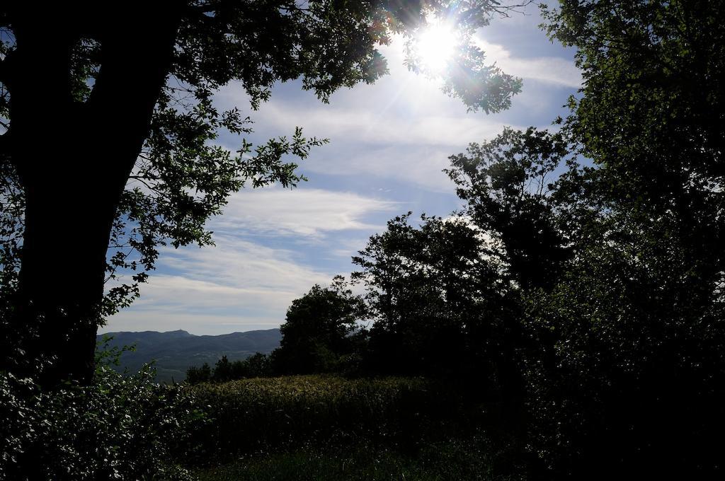 Agriturismo I Monti Semproniano Екстериор снимка