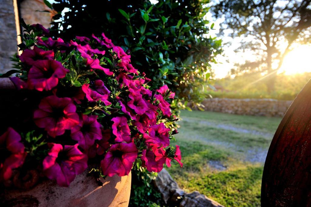 Agriturismo I Monti Semproniano Стая снимка